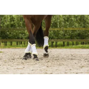 Guêtres Lami-Cell Comfort : confort et protection pour votre cheval